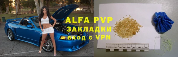стаф Богородицк