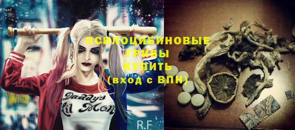 стафф Беломорск
