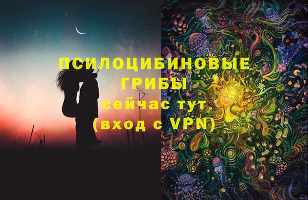 стафф Беломорск